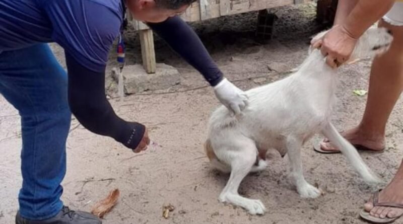 Campanha de Vacinação Antirrábica na Zona Rural, até 31 de outubro