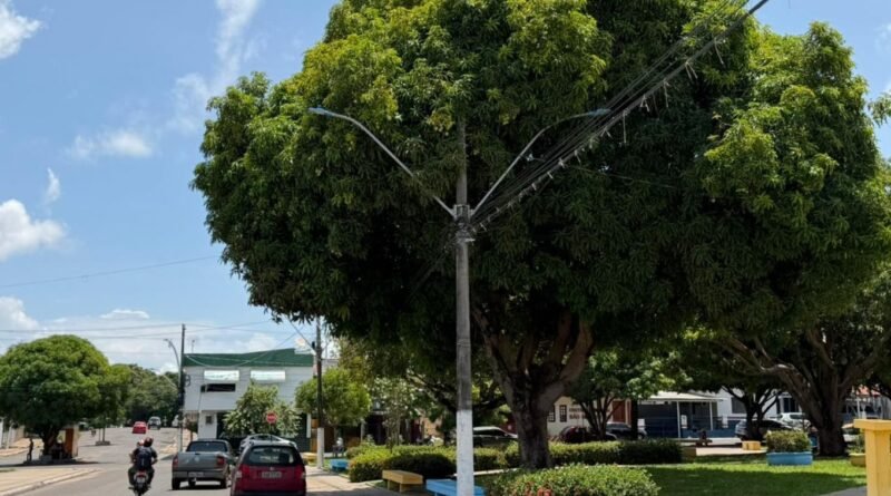 Alerta para risco ao apanhar frutas em árvores próximas à rede elétrica